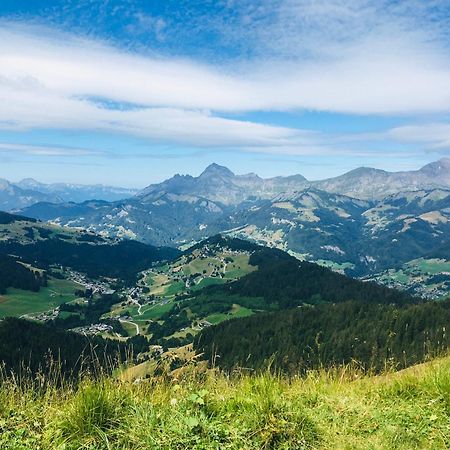 Le Nantoran Apartment Praz-sur-Arly Luaran gambar