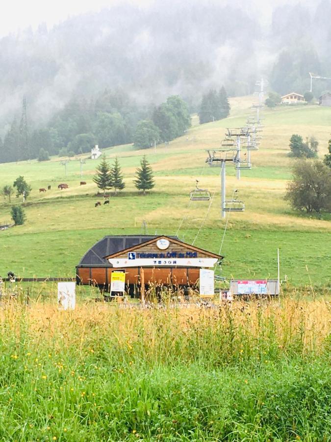 Le Nantoran Apartment Praz-sur-Arly Luaran gambar