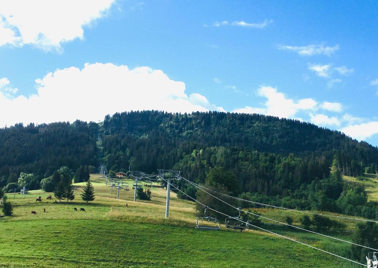 Le Nantoran Apartment Praz-sur-Arly Luaran gambar